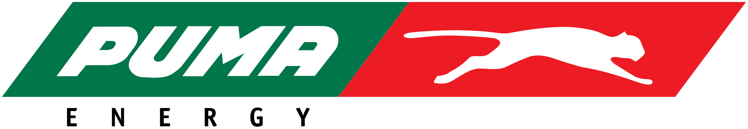 Cliente 6 - Puma Energy